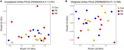 The Response of Fecal Microbiota and Host Metabolome in Dairy Cows Following Rumen Fluid Transplantation